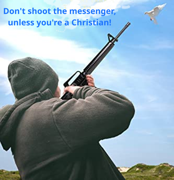 Cover for The Genuinely Troubled Christian